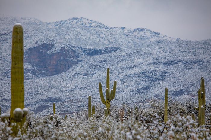 Snow Falls In Arizona Desert And The Pictures Are Chilling
