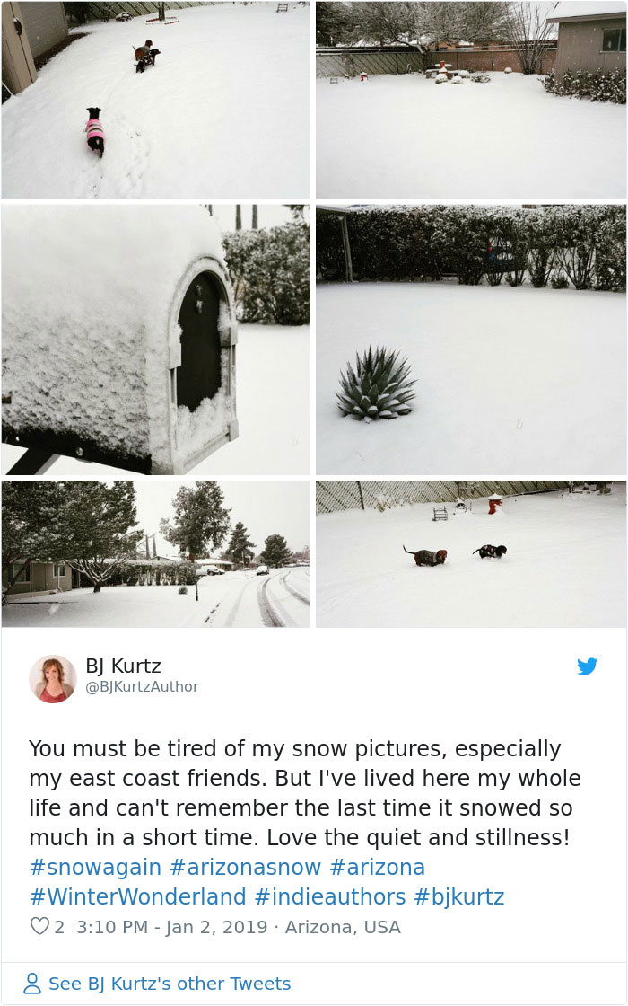 Snow Falls In Arizona Desert And The Pictures Are Chilling Snow Falls In Arizona Desert And The Pictures Are Chilling