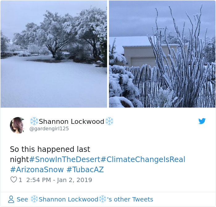 Snow Falls In Arizona Desert And The Pictures Are Chilling Snow Falls In Arizona Desert And The Pictures Are Chilling