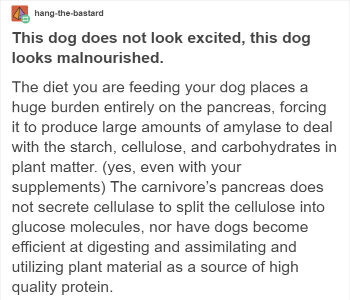 Vegan Posts Pics Of Her Lab 'Excited' To Eat Her Vegan Dinner, Gets Destroyed By Veterinarian