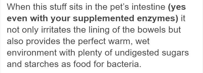 Vegan Posts Pics Of Her Lab 'Excited' To Eat Her Vegan Dinner, Gets Destroyed By Veterinarian