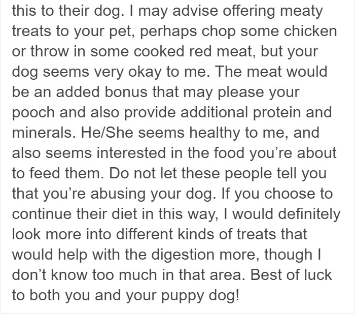 Vegan Posts Pics Of Her Lab 'Excited' To Eat Her Vegan Dinner, Gets Destroyed By Veterinarian