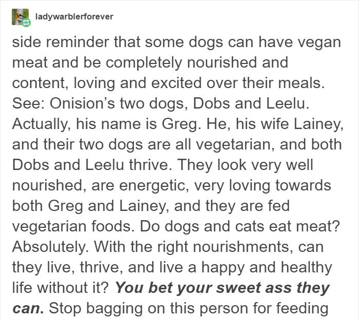 Vegan Posts Pics Of Her Lab 'Excited' To Eat Her Vegan Dinner, Gets Destroyed By Veterinarian