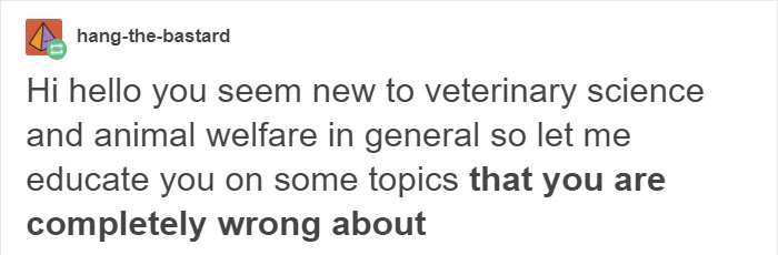 Vegan Posts Pics Of Her Lab 'Excited' To Eat Her Vegan Dinner, Gets Destroyed By Veterinarian