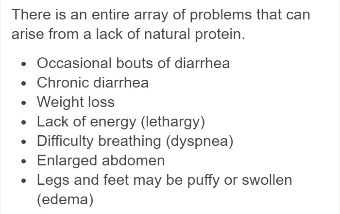 Vegan Posts Pics Of Her Lab 'Excited' To Eat Her Vegan Dinner, Gets Destroyed By Veterinarian