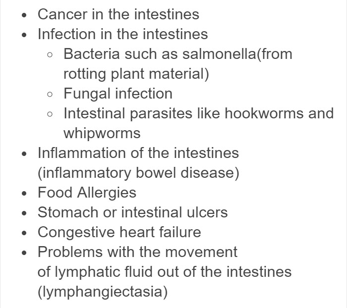 Vegan Posts Pics Of Her Lab 'Excited' To Eat Her Vegan Dinner, Gets Destroyed By Veterinarian