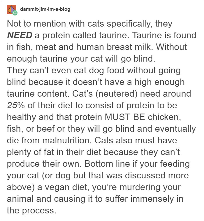 Vegan Posts Pics Of Her Lab 'Excited' To Eat Her Vegan Dinner, Gets Destroyed By Veterinarian