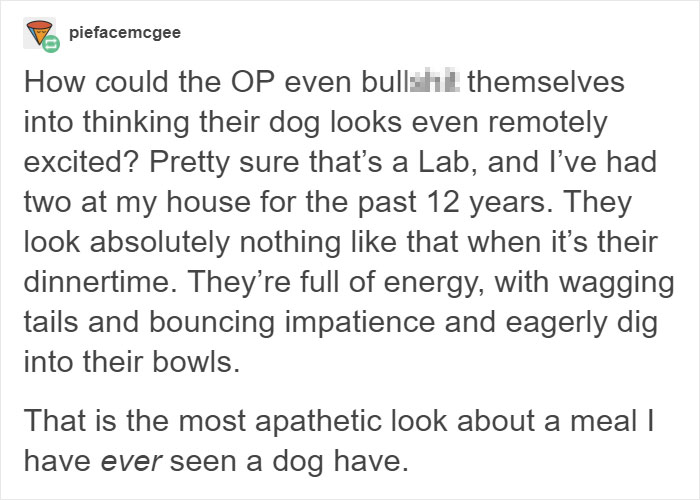 Vegan Posts Pics Of Her Lab 'Excited' To Eat Her Vegan Dinner, Gets Destroyed By Veterinarian