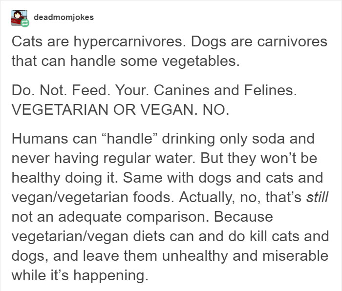 Vegan Posts Pics Of Her Lab 'Excited' To Eat Her Vegan Dinner, Gets Destroyed By Veterinarian Vegan Posts Pics Of Her Lab 'Excited' To Eat Her Vegan Dinner, Gets Destroyed By Veterinarian