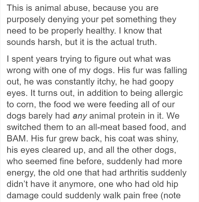 Vegan Posts Pics Of Her Lab 'Excited' To Eat Her Vegan Dinner, Gets Destroyed By Veterinarian