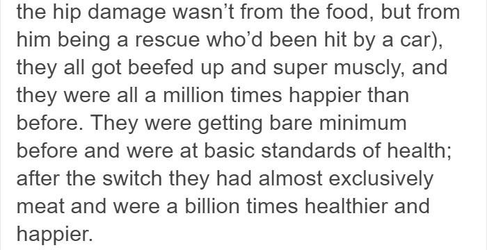 Vegan Posts Pics Of Her Lab 'Excited' To Eat Her Vegan Dinner, Gets Destroyed By Veterinarian