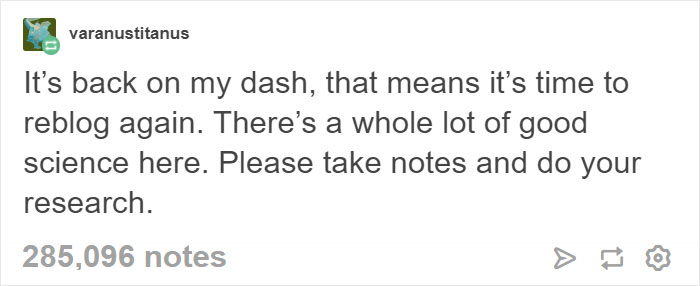 Vegan Posts Pics Of Her Lab 'Excited' To Eat Her Vegan Dinner, Gets Destroyed By Veterinarian Vegan Posts Pics Of Her Lab 'Excited' To Eat Her Vegan Dinner, Gets Destroyed By Veterinarian