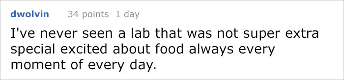 Vegan Posts Pics Of Her Lab 'Excited' To Eat Her Vegan Dinner, Gets Destroyed By Veterinarian Vegan Posts Pics Of Her Lab 'Excited' To Eat Her Vegan Dinner, Gets Destroyed By Veterinarian