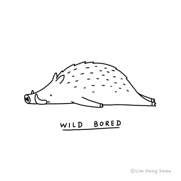 Wild Boar