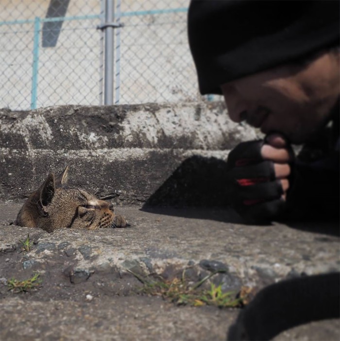 Japanese Photographer Captures Stray Cats Having Fun And Not Giving A Damn In The World Japanese Photographer Captures Stray Cats Having Fun And Not Giving A Damn In The World
