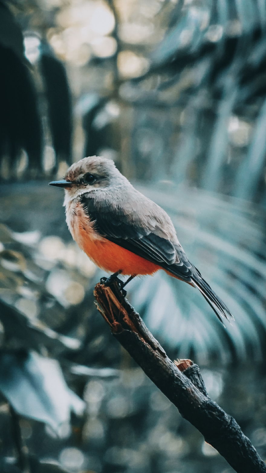 I‘ve Been Drawing Birds For 3 Years, Here Are The 10 Benefits I‘ve Noticed