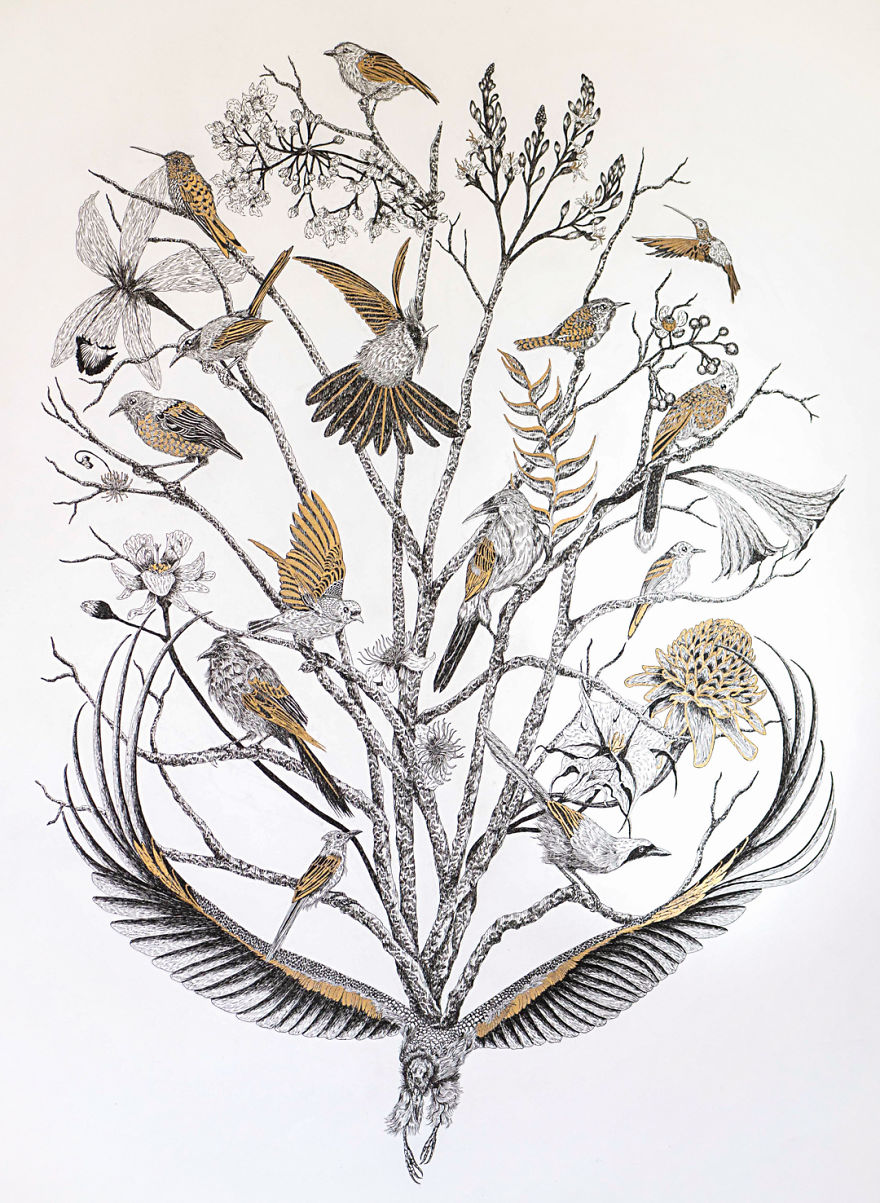 I‘ve Been Drawing Birds For 3 Years, Here Are The 10 Benefits I‘ve Noticed