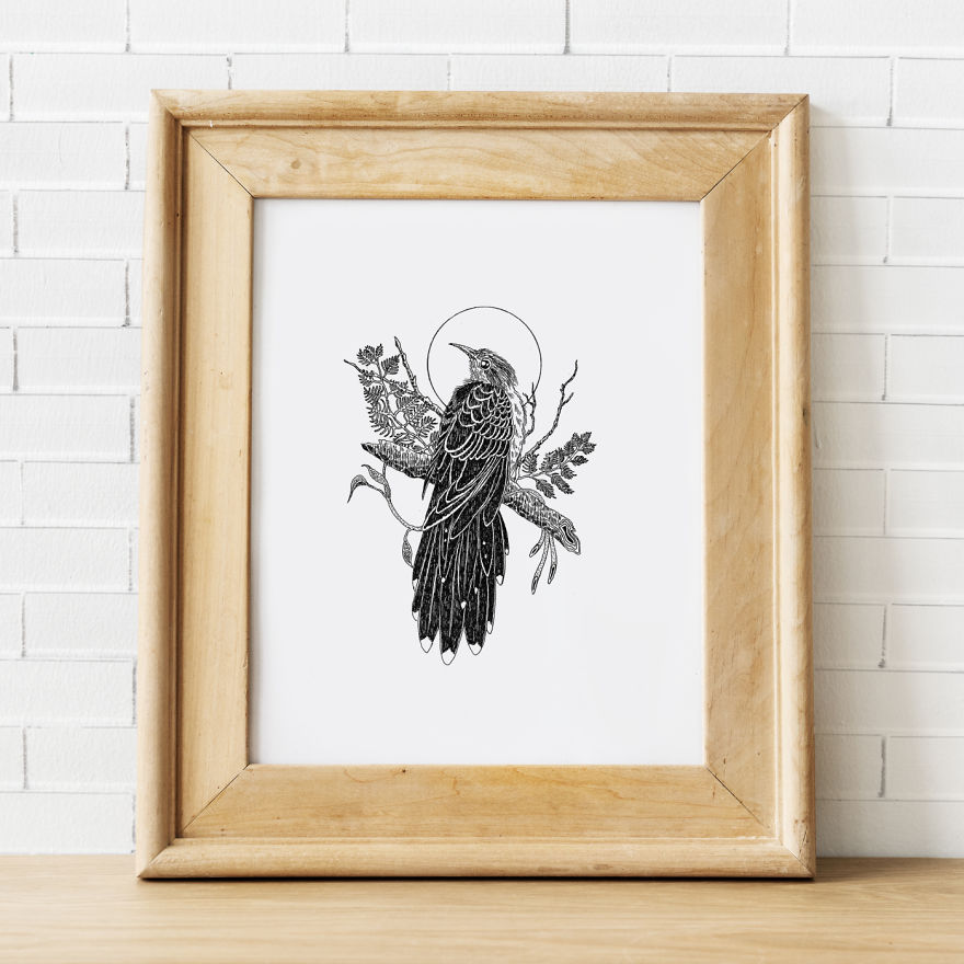 I‘ve Been Drawing Birds For 3 Years, Here Are The 10 Benefits I‘ve Noticed