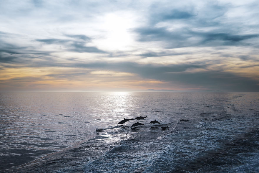 Get Inspired For Your Next Trip To The U.s.! Enjoy These 10 Amazing Photos Of The National Parks.