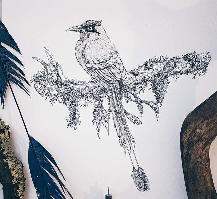 I‘ve Been Drawing Birds For 3 Years, Here Are The 10 Benefits I‘ve Noticed