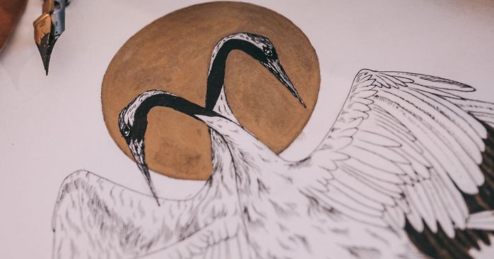 I‘ve Been Drawing Birds For 3 Years, Here Are The 10 Benefits I‘ve Noticed