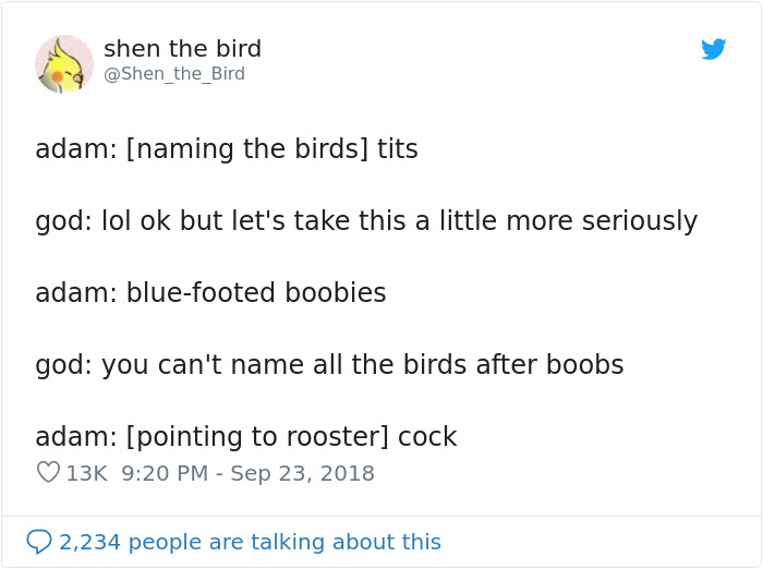 Funny-God-Creating-Things-Tweets