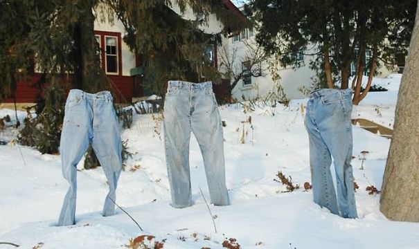 "No, Believe Me, 'Tis Very Cold; The Wind Is Northerly"