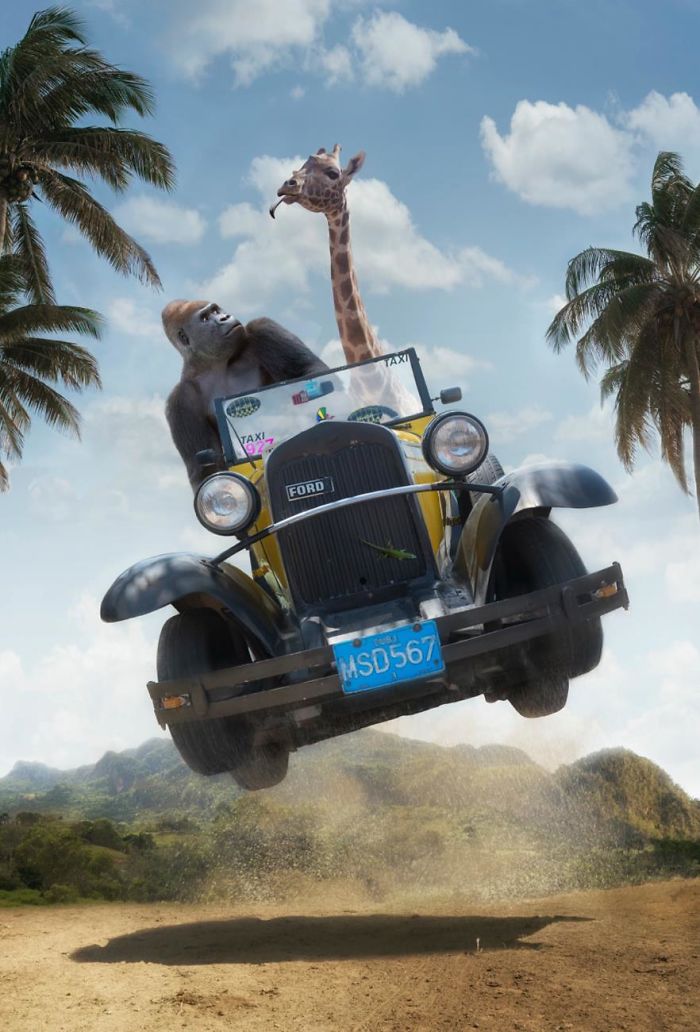 Photographer Shows The Funny Life Of Animals From Kenya