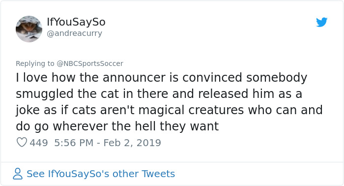 Black Cat Enters A Soccer Match And Unsurprisingly Refuses To Leave