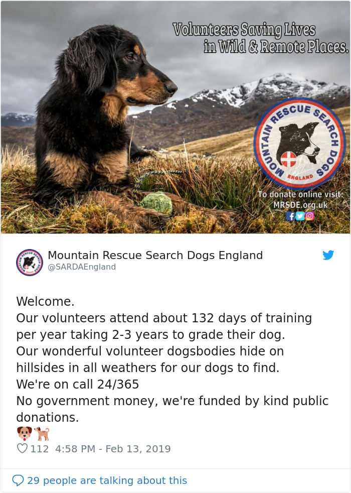 Buried In Snow, This Man Films A Mountain Rescue Dog Saving Him And It's Lovely