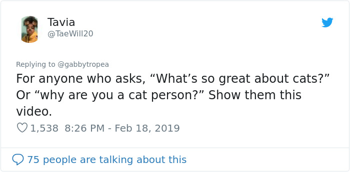 Cat Removes Wooden Bar To Let Her Owner Back Inside After She Locks Herself Out