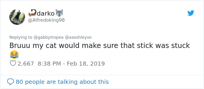 Cat Removes Wooden Bar To Let Her Owner Back Inside After She Locks Herself Out Cat Removes Wooden Bar To Let Her Owner Back Inside After She Locks Herself Out