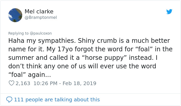 Funny-Brain-Freeze-Moments-Paul-Coxon