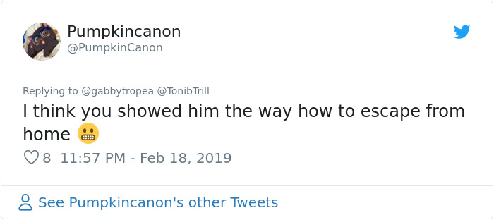 Cat Removes Wooden Bar To Let Her Owner Back Inside After She Locks Herself Out