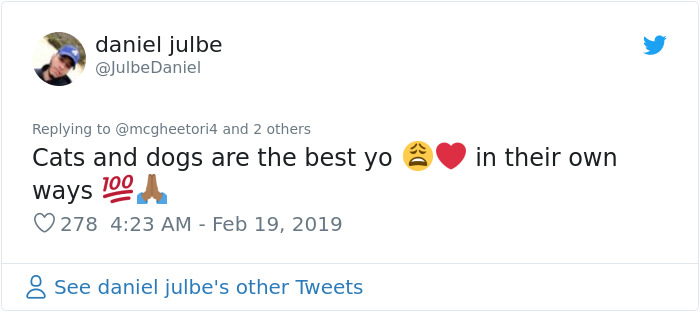 Cat Removes Wooden Bar To Let Her Owner Back Inside After She Locks Herself Out