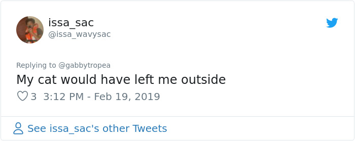 Cat Removes Wooden Bar To Let Her Owner Back Inside After She Locks Herself Out Cat Removes Wooden Bar To Let Her Owner Back Inside After She Locks Herself Out