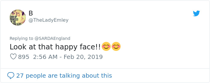 Buried In Snow, This Man Films A Mountain Rescue Dog Saving Him And It's Lovely