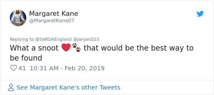 Buried In Snow, This Man Films A Mountain Rescue Dog Saving Him And It's Lovely