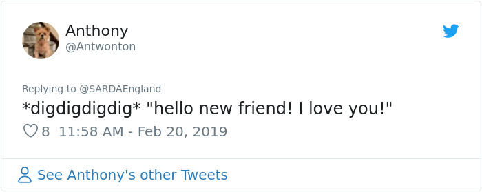 Buried In Snow, This Man Films A Mountain Rescue Dog Saving Him And It's Lovely