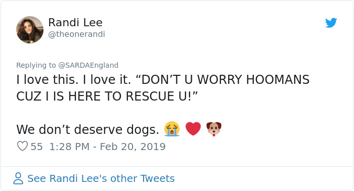 Buried In Snow, This Man Films A Mountain Rescue Dog Saving Him And It's Lovely