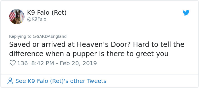 Buried In Snow, This Man Films A Mountain Rescue Dog Saving Him And It's Lovely