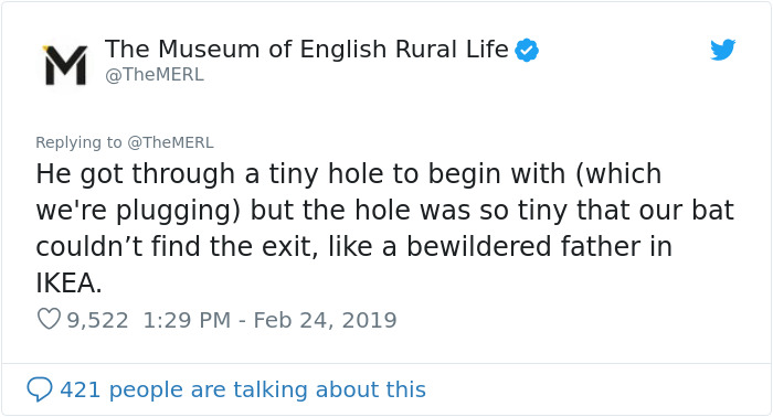 UK Library Museum Posts Hilarious Twitter Thread About A Bat Found In Their Store UK Library Museum Posts Hilarious Twitter Thread About A Bat Found In Their Store