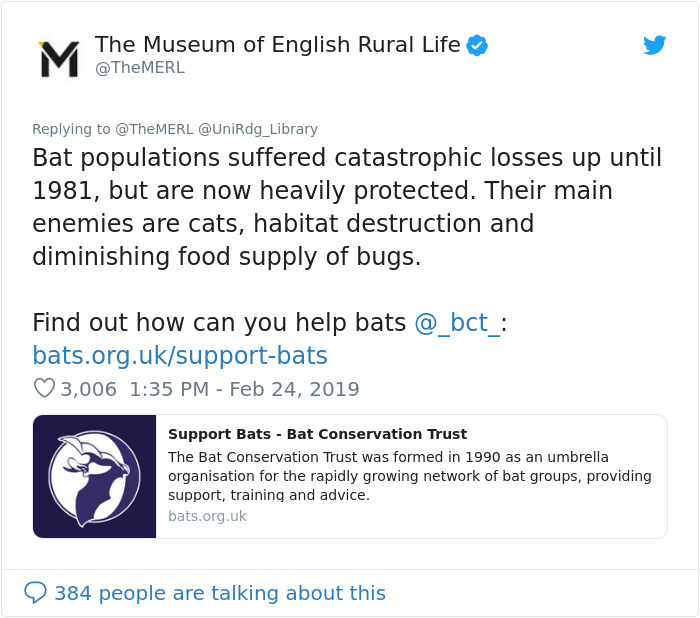 UK Library Museum Posts Hilarious Twitter Thread About A Bat Found In Their Store UK Library Museum Posts Hilarious Twitter Thread About A Bat Found In Their Store
