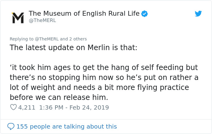 UK Library Museum Posts Hilarious Twitter Thread About A Bat Found In Their Store UK Library Museum Posts Hilarious Twitter Thread About A Bat Found In Their Store