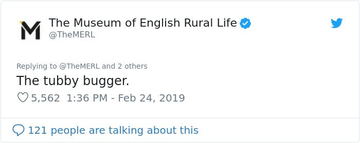 UK Library Museum Posts Hilarious Twitter Thread About A Bat Found In Their Store UK Library Museum Posts Hilarious Twitter Thread About A Bat Found In Their Store