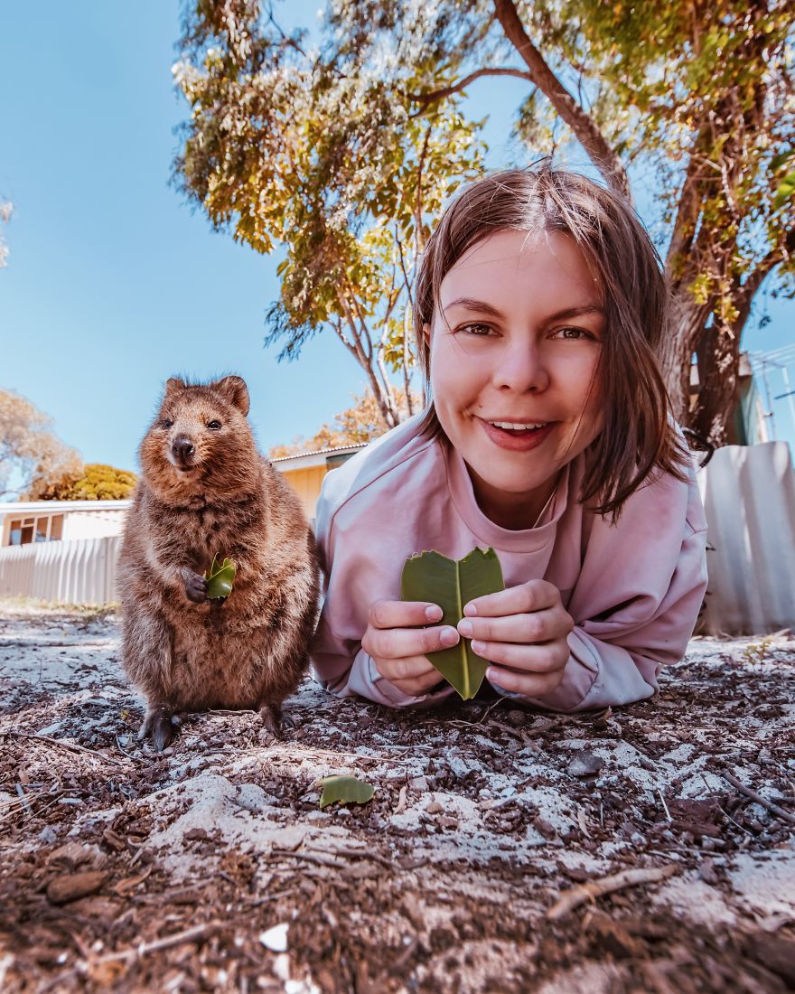 I Flew 25 Hours To Australia Just To See The Cutest Animals In The World - Quokkas