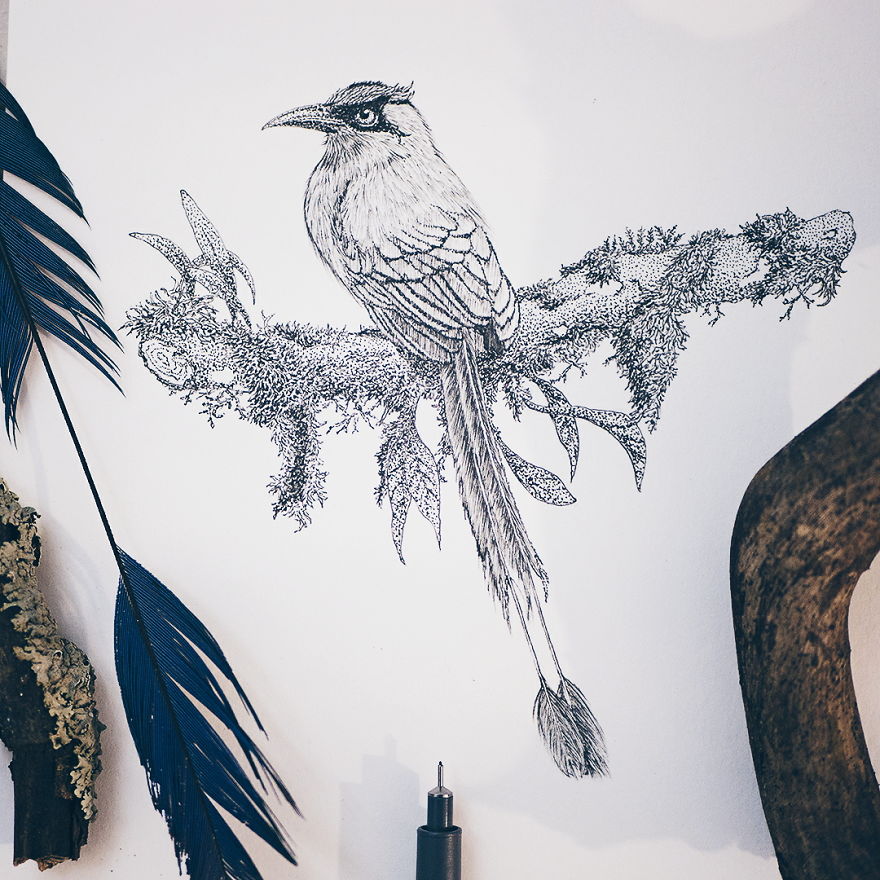 I‘ve Been Drawing Birds For 3 Years, Here Are The 10 Benefits I‘ve Noticed