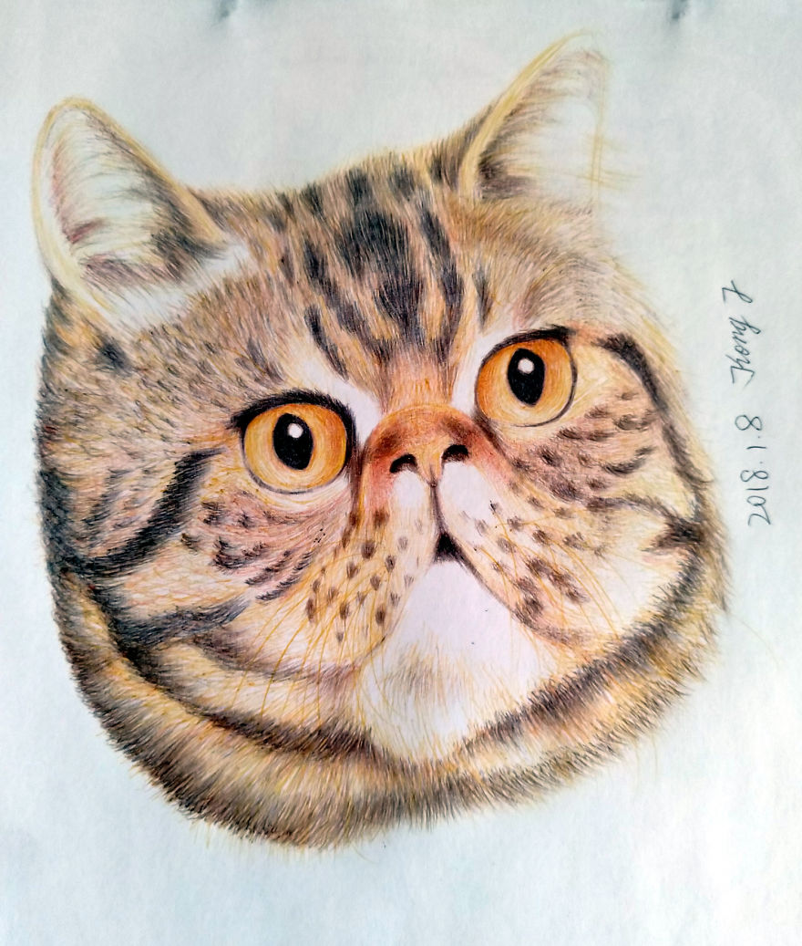 I Tried To Draw Cats With A Ballpoint Pen. Average 4 Hours Per Work.