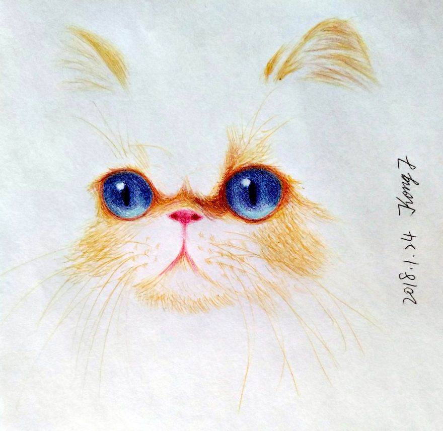 I Tried To Draw Cats With A Ballpoint Pen. Average 4 Hours Per Work.