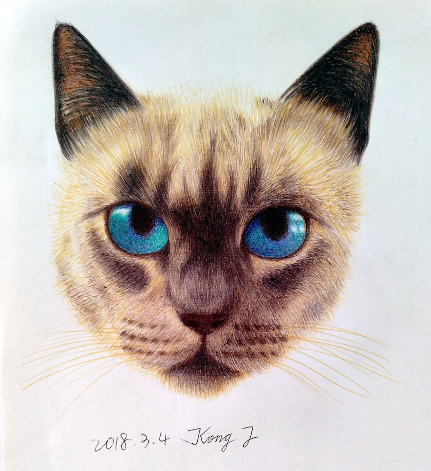 I Tried To Draw Cats With A Ballpoint Pen. Average 4 Hours Per Work.